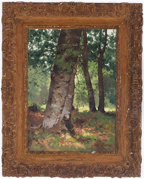 Sunshine Beyond The Maine Birches by Charles Frederick Kimball