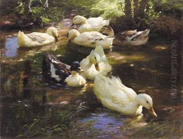 Enten Im Wasser Vor Baumufer (ducks On A Pond) by Alexander Max Koester