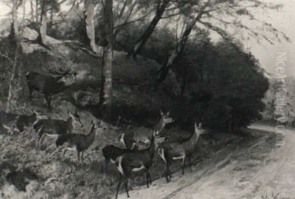 Hirsch Und Sein Rudel Beim Queren Eines Waldweges by Christian (Johann Christian) Kroener