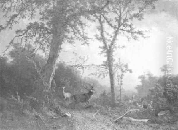 Deer In Woodland Clearing by Eugen Krueger