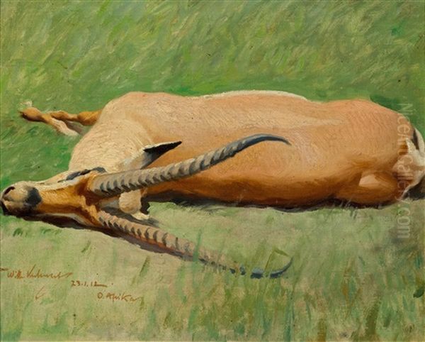 Stretched Grant's Gazelle by Wilhelm Friedrich Kuhnert