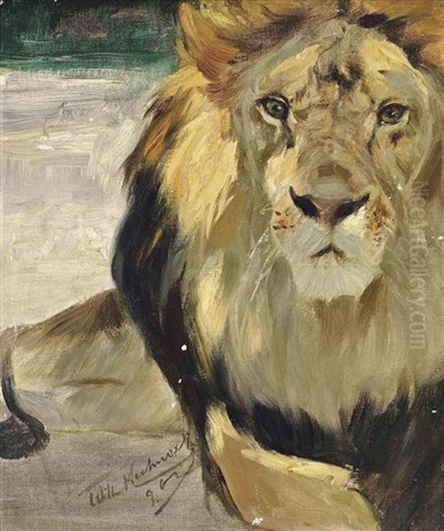 Resting Lion, A Study by Wilhelm Friedrich Kuhnert