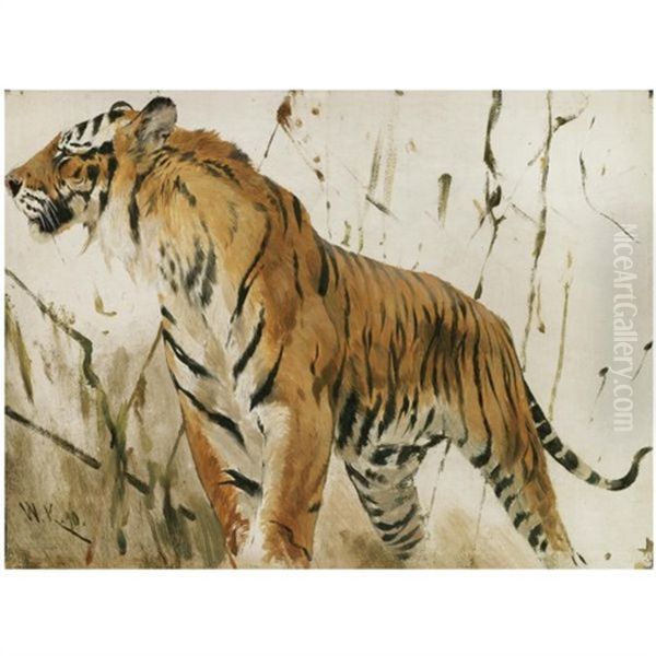 Study Of A Tiger by Wilhelm Friedrich Kuhnert