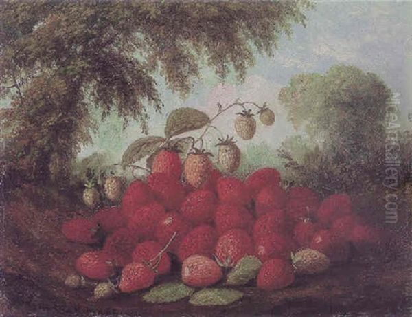 Strawberries by Paul Lacroix