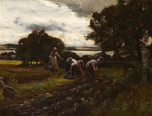 Gathering Potatoes At Menzies Hill by William Bradley Lamond