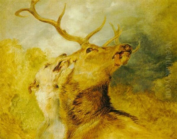 The Hunted Stag by Sir Edwin Henry Landseer