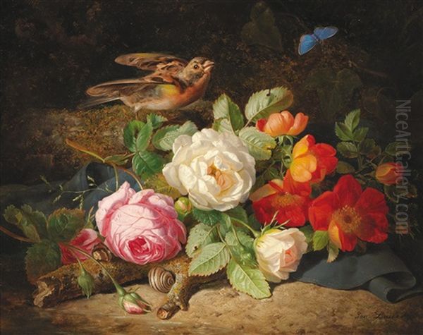 Blumenstuck Mit Rotkehlchen Und Blauen Schmetterling by Josef Lauer