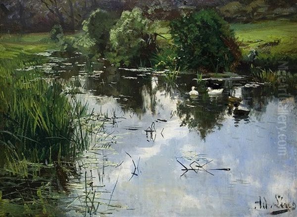 Ducks On A Pond by Adolf Lins