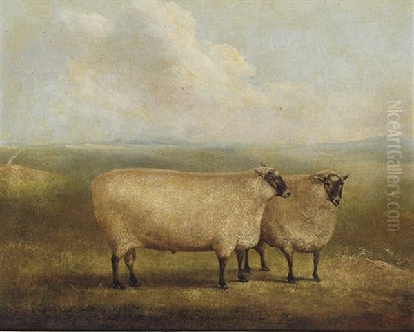 A Prize Ram Bred By Mr. William Sainsbury (collab. W/ William Henry Davis) by James (of Bath) Loder