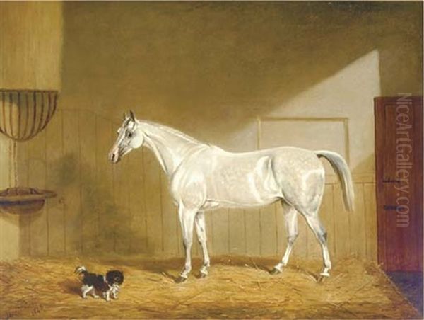 A Grey Hunter And Spaniel In A Loose Box by James (of Bath) Loder