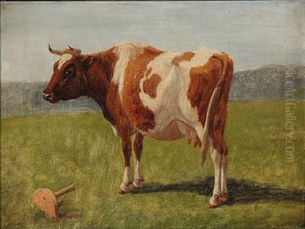 A Cow In The Field by Andreas Peter Madsen