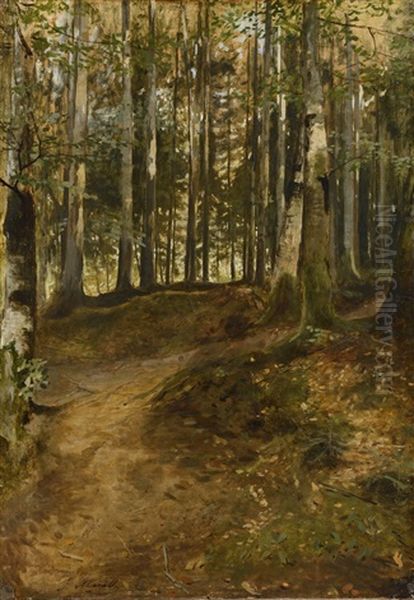 Forest Path by Julius Eduard Marak