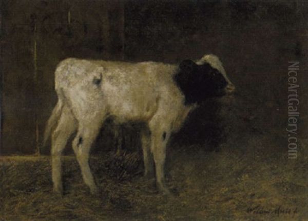 A Calf In A Stable by Willem Maris