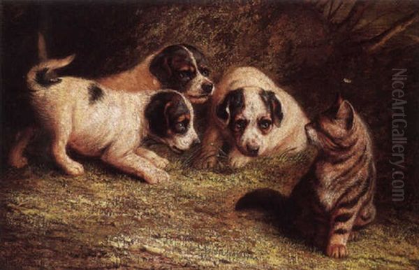 Puppies And Cat by John Fitz Marshall