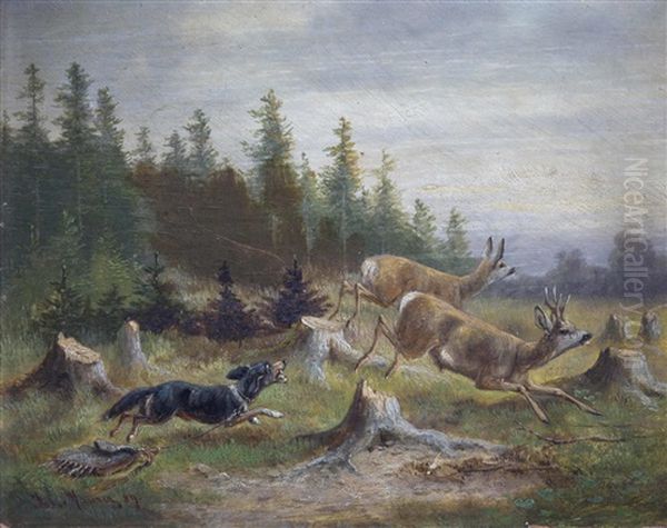 Jagdhund Mit Angehangter Tasche Stellt Rotwild In Waldlichtung by Julius Maurer