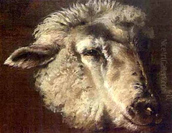 Sheep Head by Anton Mauve