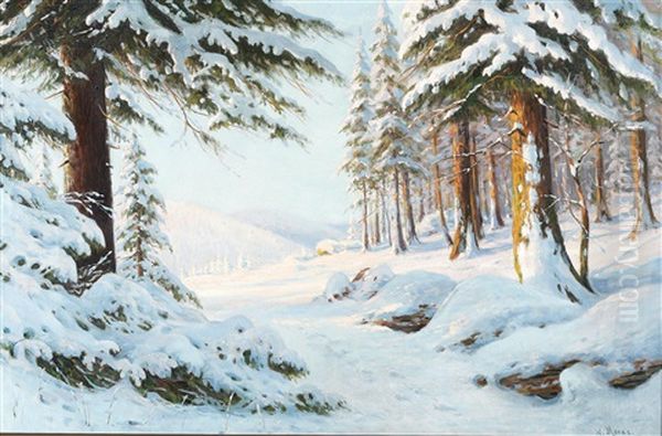 Winter by Walter Moras