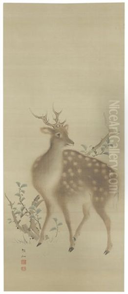 Deer by Sosen Mori