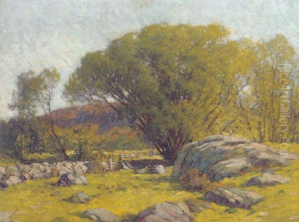 Cape Ann Pastureland by Frederick J. Mulhaupt