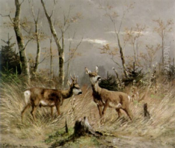 Rehbock Und Reh Auf Herbstlicher Lichtung by Moritz Mueller the Elder