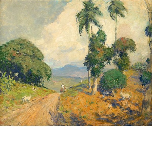 Mountain Road, Puerto Rico by Hermann Dudley Murphy