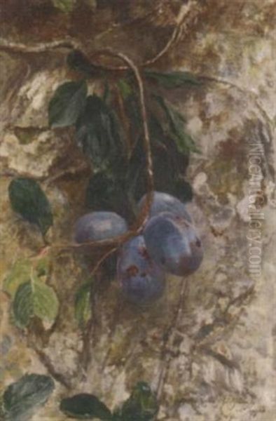 Plums On The Branch by Sir David Murray