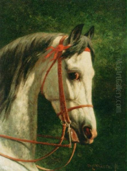 An Arabian Horse by Willem Carel Nakken