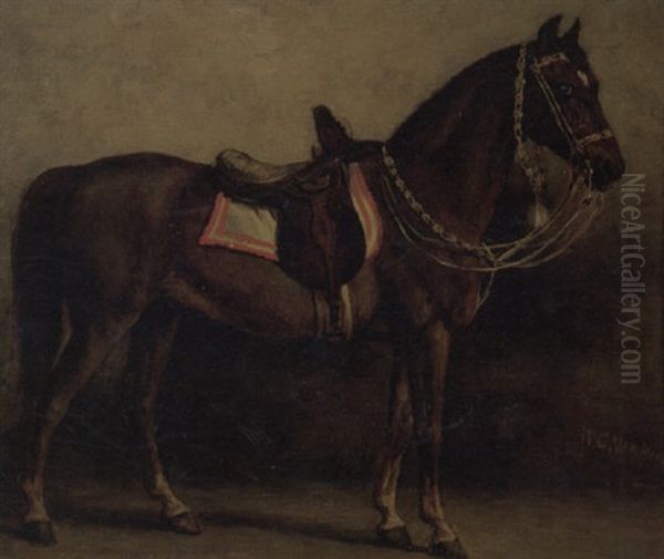 A Saddled Horse by Willem Carel Nakken