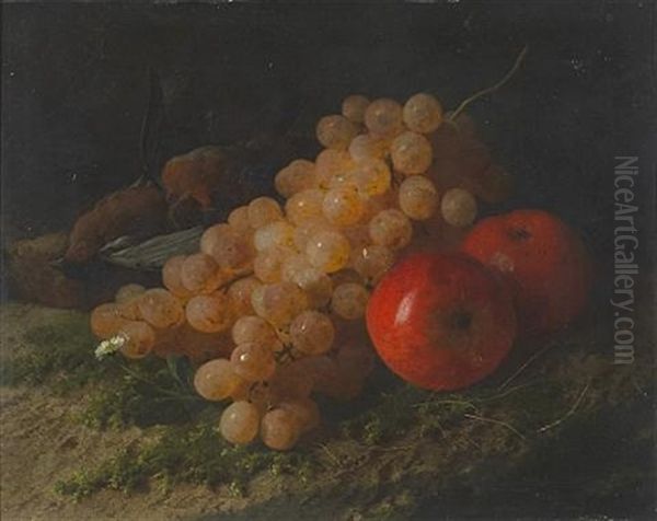 A Still Life With Apples, Grapes And Birds by David Emile Joseph de Noter