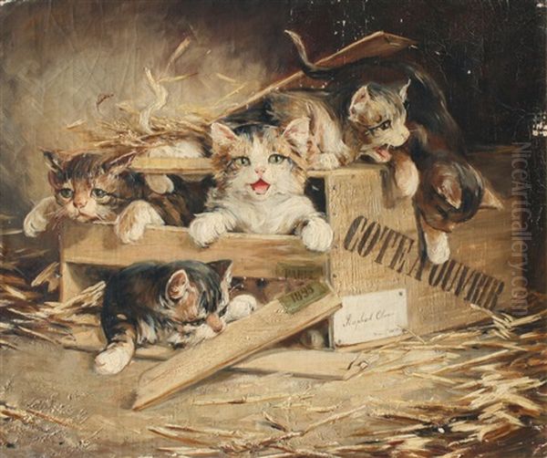 Kittens Playing In A Box by Frederico Olaria