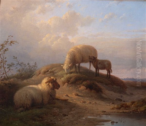 Ewes And A Lamb By A Pool by Balthasar Paul Ommeganck