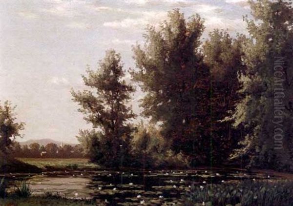 The Lily Pond by Alfred T. Ordway