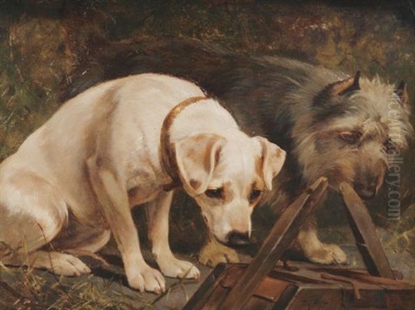 Two Dogs In A Barn by William Osborne