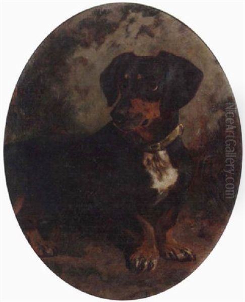 A Dachshund by William Osborne