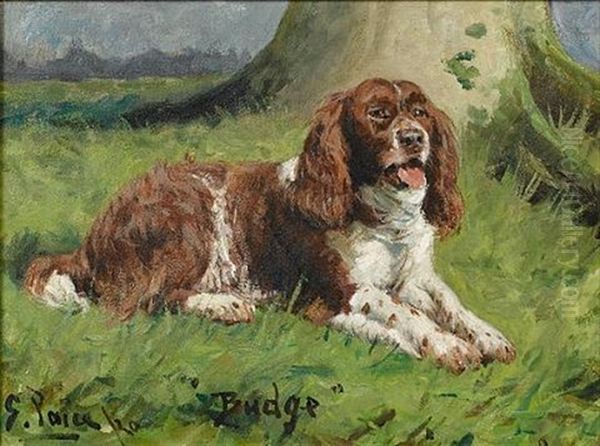 Portrait Of "budge", A Springer Spaniel by George Paice