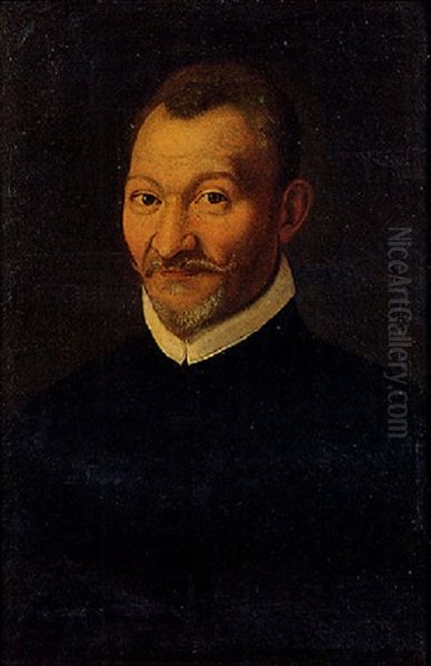 Ritratto D'uomo Con Barbetta by Bartolomeo Passarotti