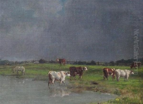 Cattle In Pasture by Charles Francois Pecrus