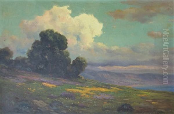 California Poppies With Cumulous Clouds And A Coastal View by John Calvin Perry