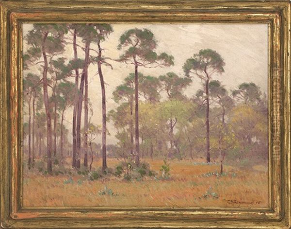 A Gray Day, Florida by Frank Charles Peyraud