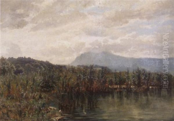 Schilfufer Mit Blick Auf Die Rigi by Niklaus von Pfyffer