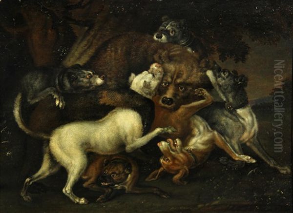 Hounds Attacking A Bear by Wenzel Ignaz Prasch