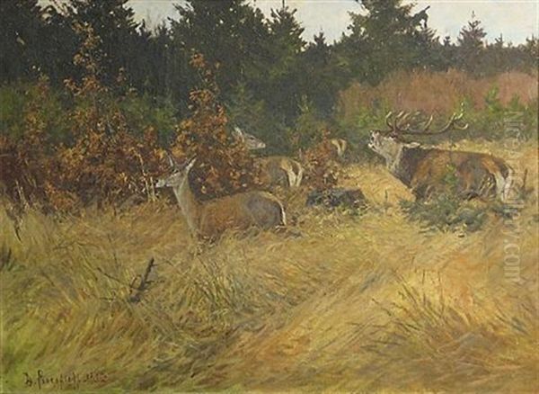 A Stag With Does In A Meadow by Dimitri Von Prokofiev