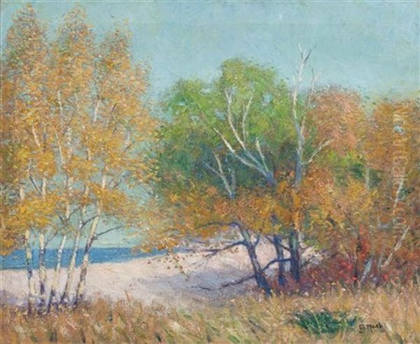 Lake Michigan Shoreline by George Raab