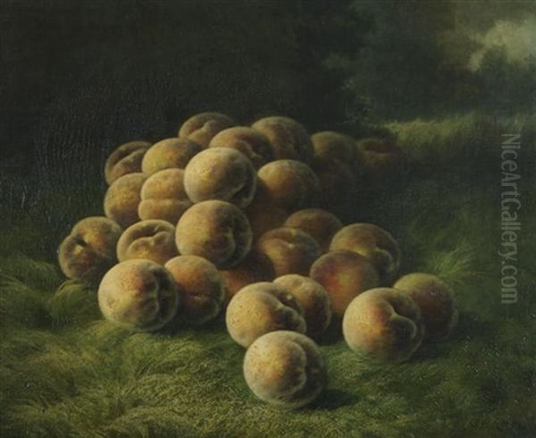 Peaches by Carducius Plantagenet Ream