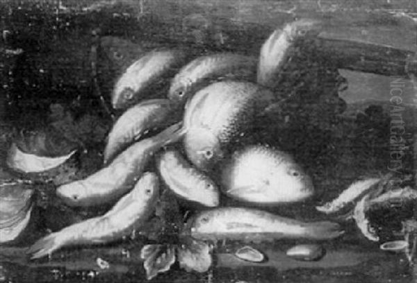 Nature Morte De Poissons by Giuseppe Recco