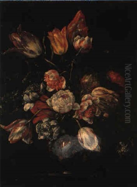 Vaso Di Anemoni E Tulipani by Giuseppe Recco