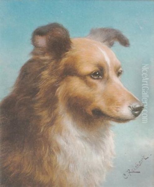 An English Collie by Carl Reichert