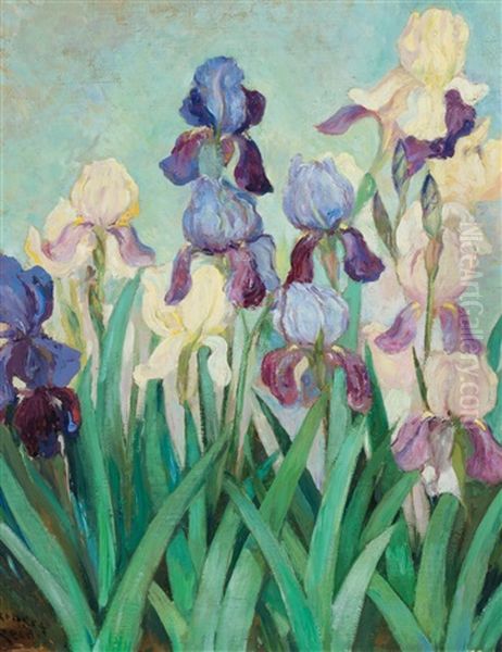 Irises by Robert Reid