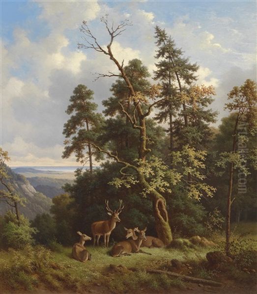 Rotwild Auf Lichtung by Wilhelm Reinhardt