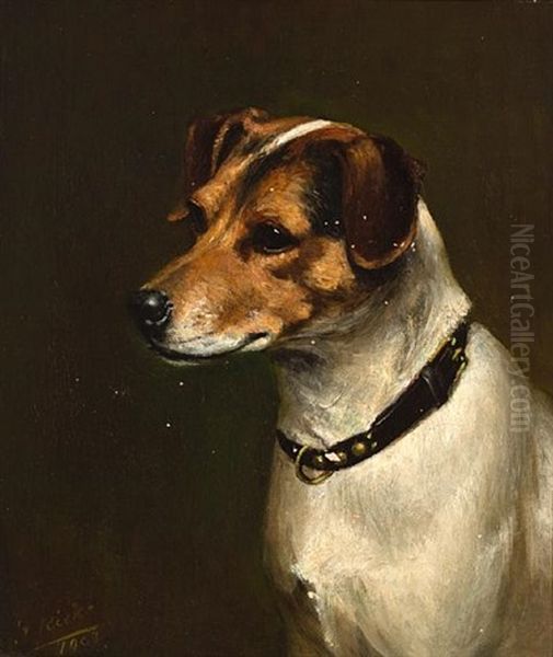 The Attentive Dog, A Jack Russell Terrier by James Ricks